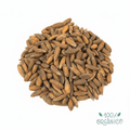 Premium Chilgoza Pine Nuts