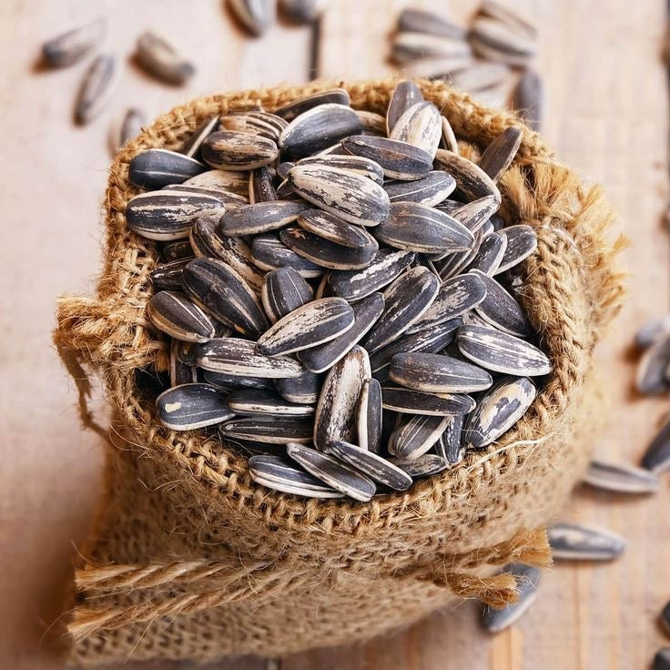Sunflower Seeds