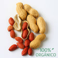 Premium Peanuts Whole